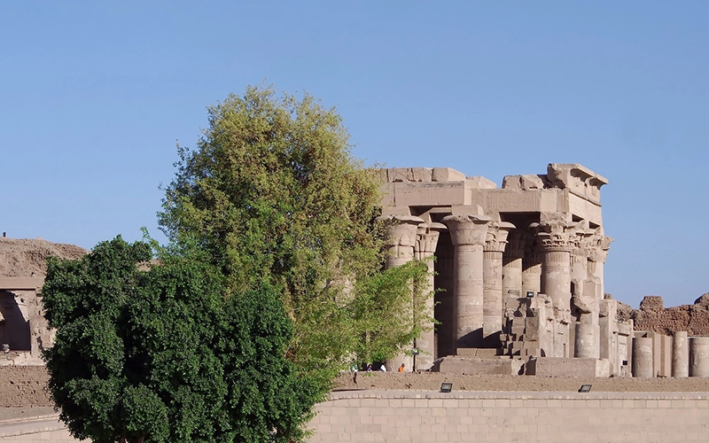 05 Days Nile Cruise